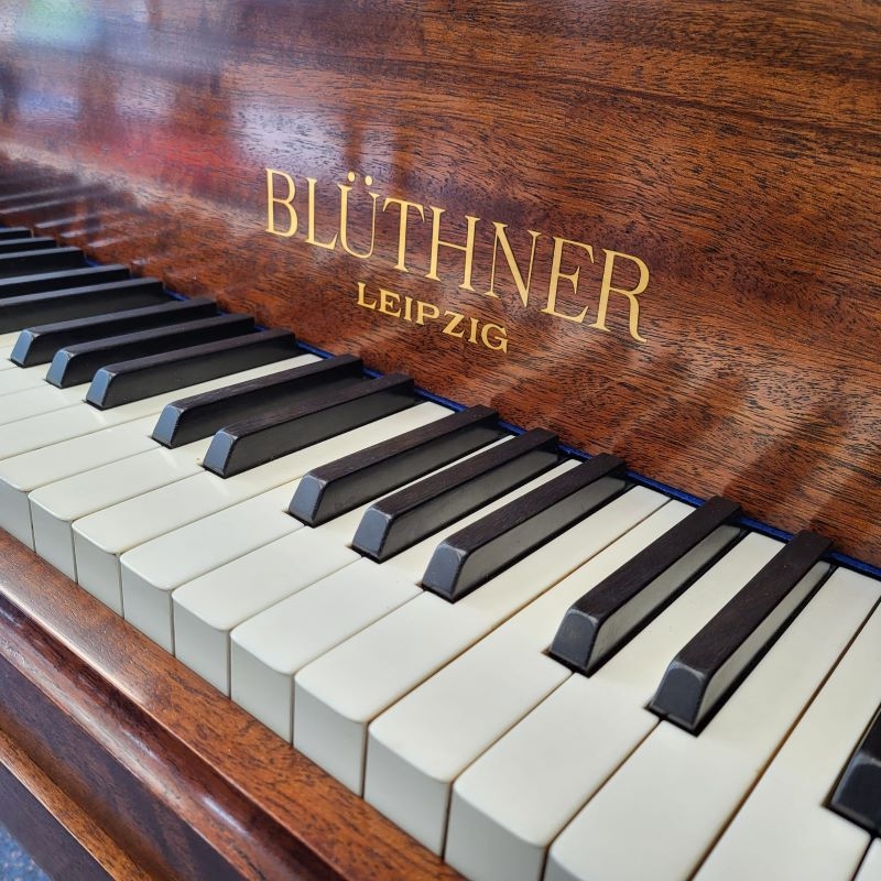 Bluthner IV