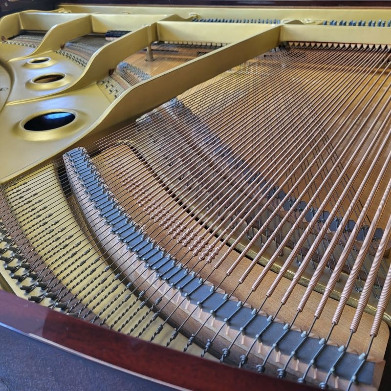 Yamaha G1