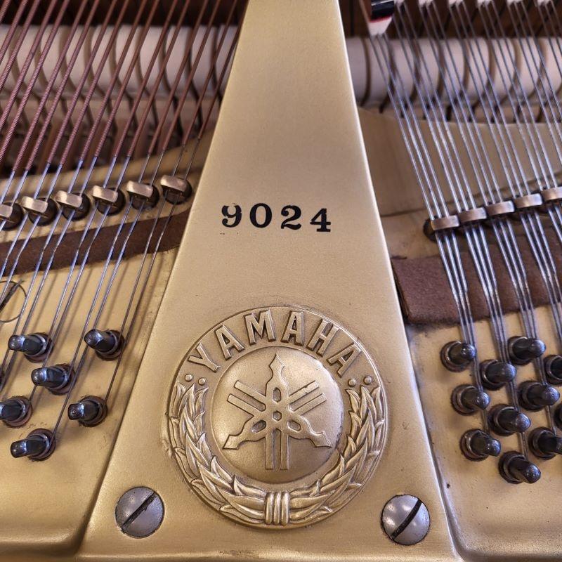 Yamaha G1 grand Piano in bright mahogany – Gallery image – Roberts Pianos Oxford