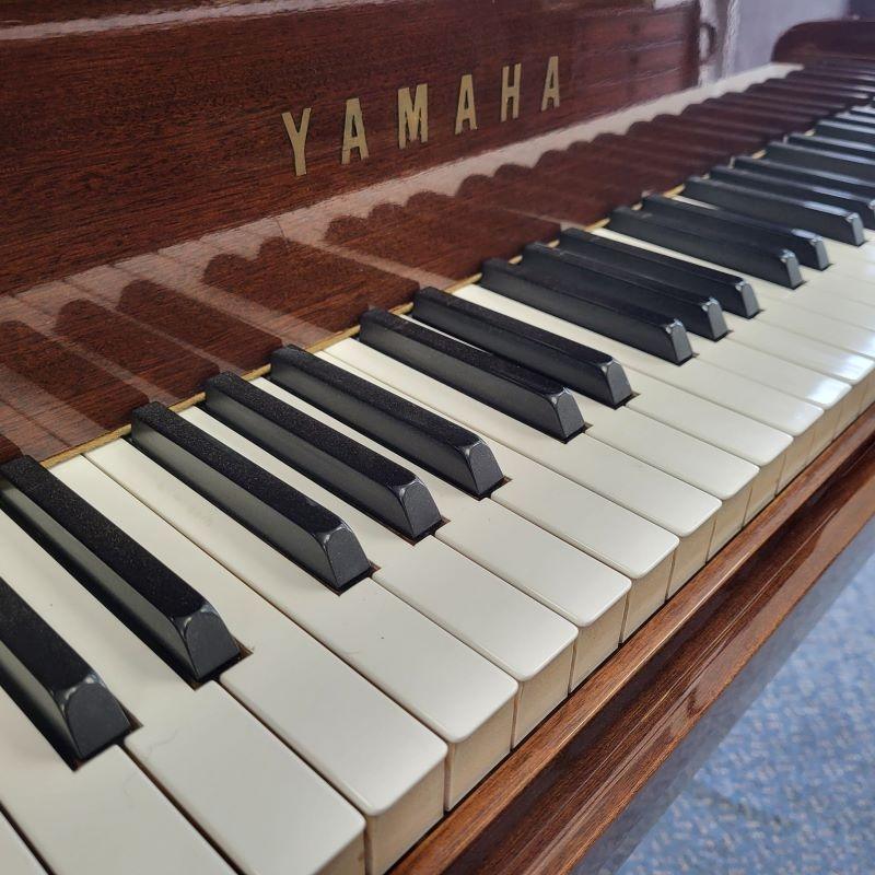 Yamaha G1 grand Piano in bright mahogany – Gallery image – Roberts Pianos Oxford
