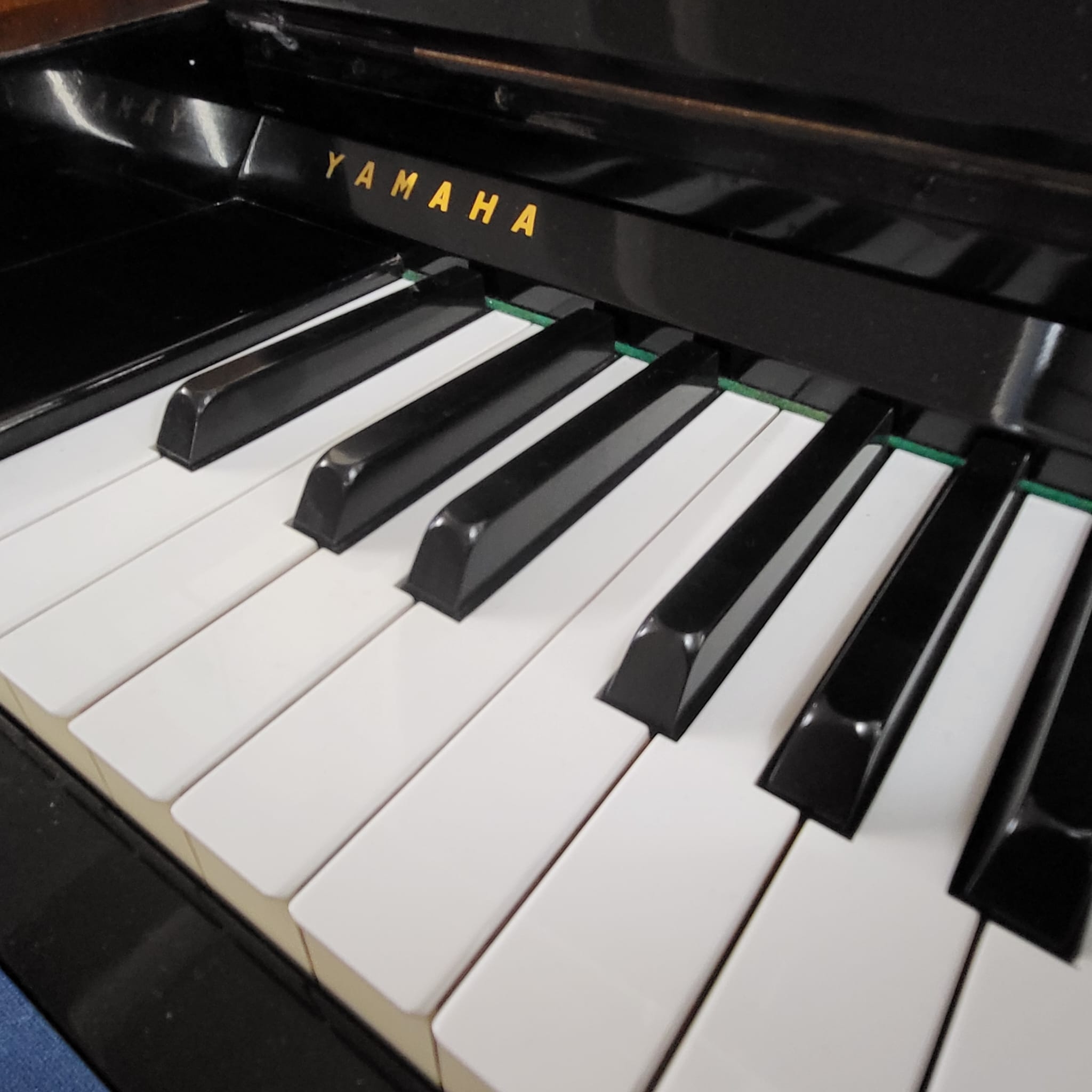 Yamaha U1D