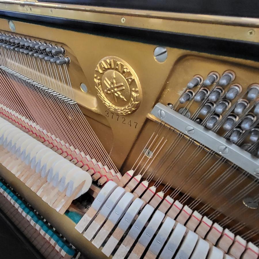 Yamaha U1D upright Piano in black polyester – Gallery image – Roberts Pianos Oxford