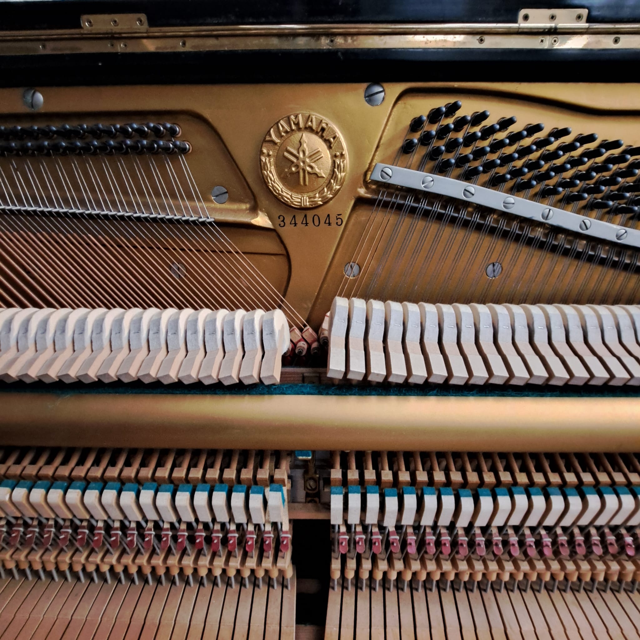 Yamaha U1D