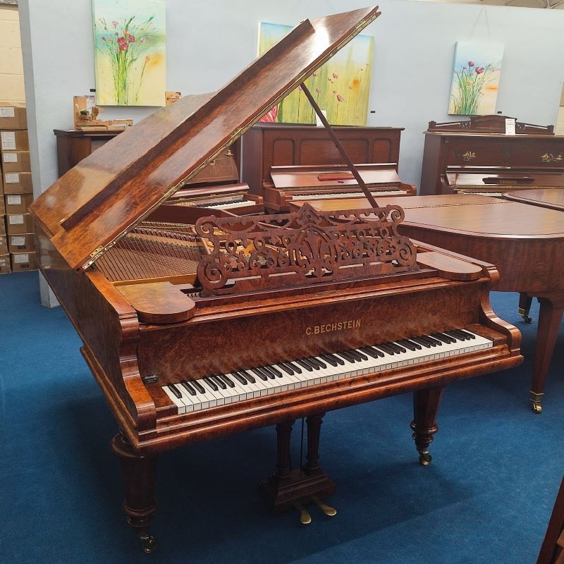 Bechstein V