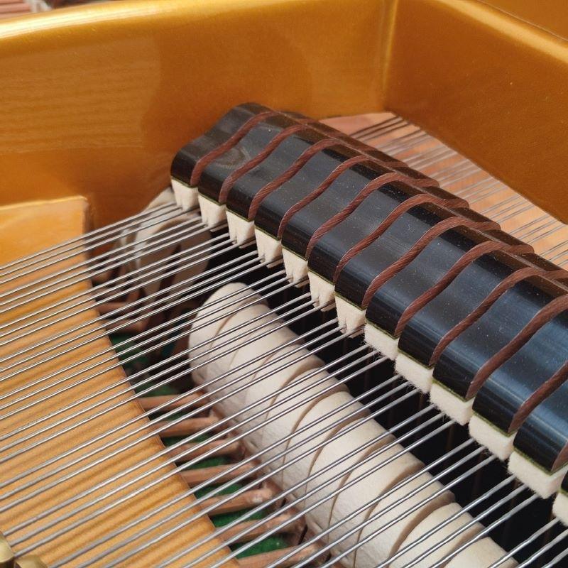 Bechstein V grand Piano in burr walnut – Gallery image – Roberts Pianos Oxford