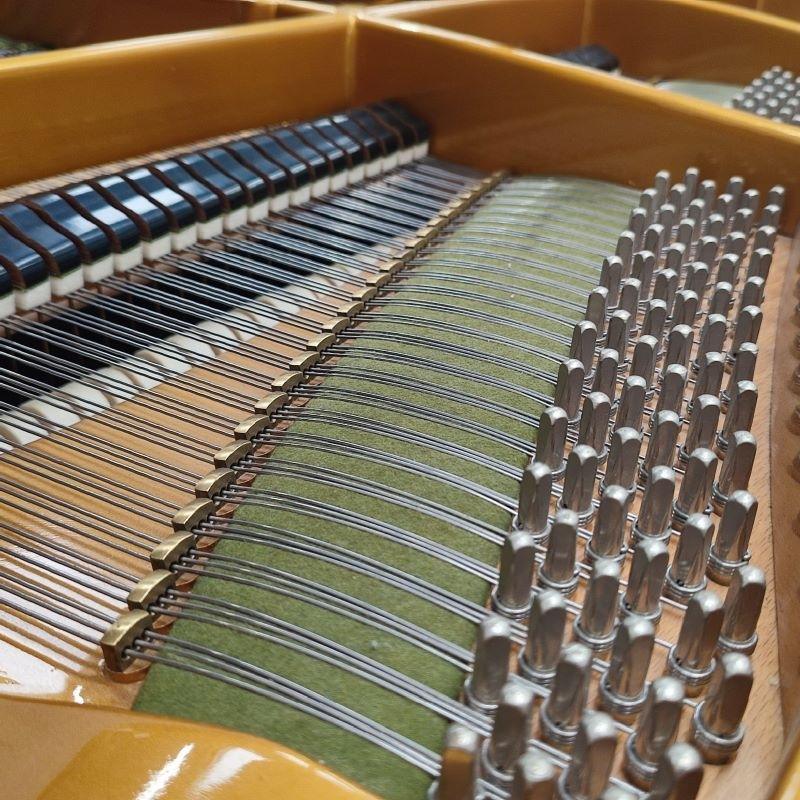 Bechstein V grand Piano in burr walnut – Gallery image – Roberts Pianos Oxford