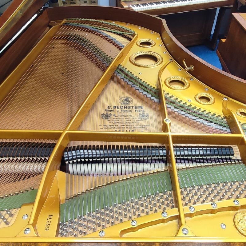 Bechstein V