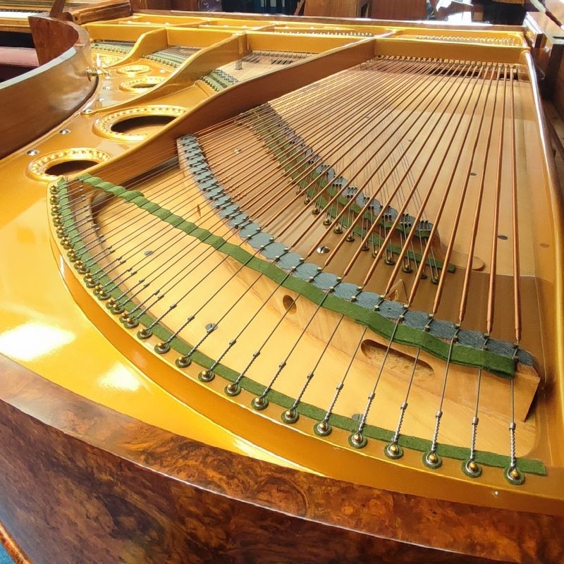 Bechstein V