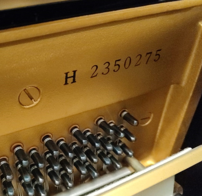 Yamaha U1H