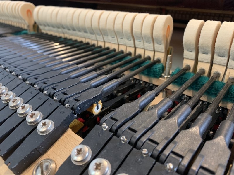 Bosendorfer Imperial grand Piano in dark walnut – Gallery image – Roberts Pianos Oxford