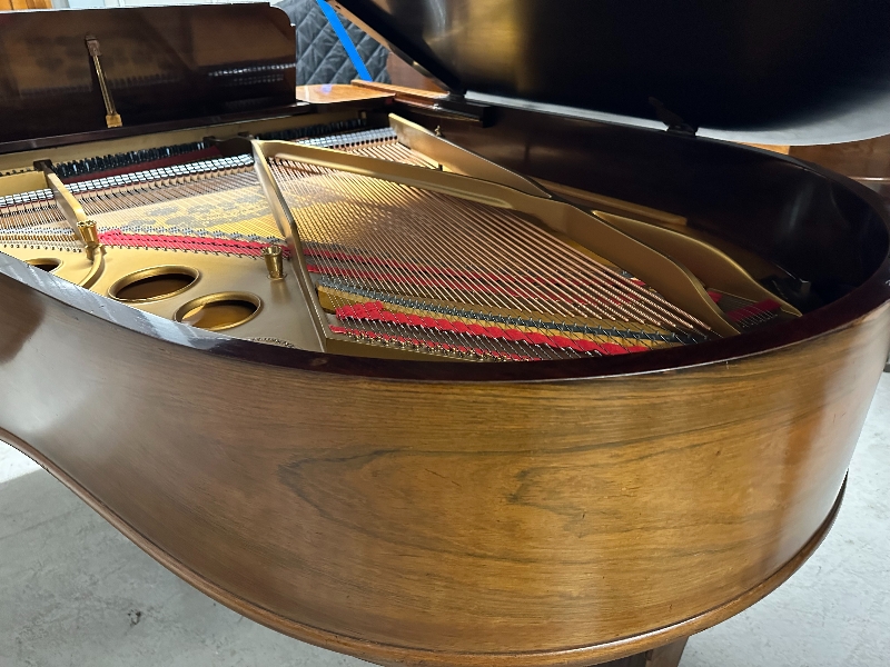 Steinway model O