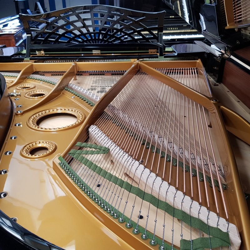 Bechstein B