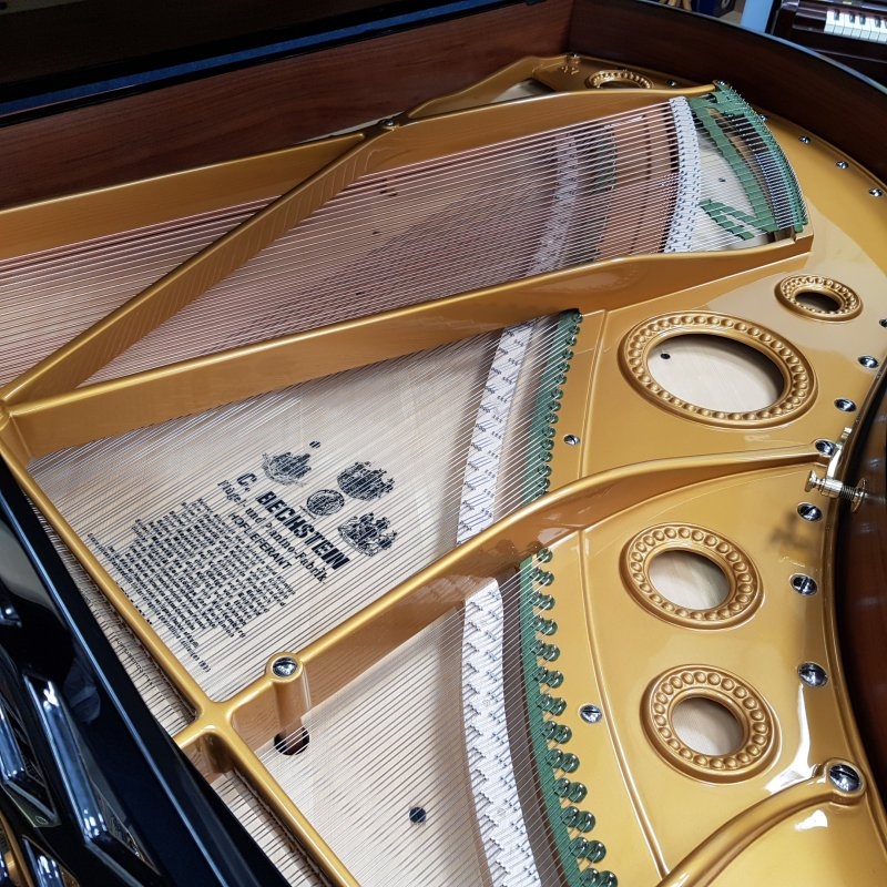 Bechstein B