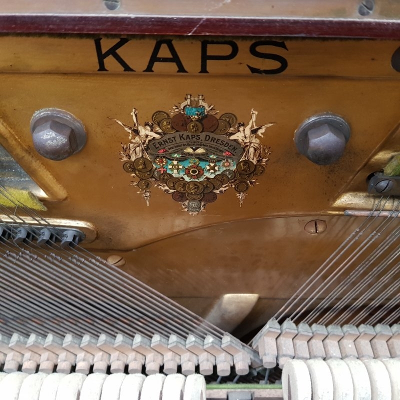 Kaps 135
