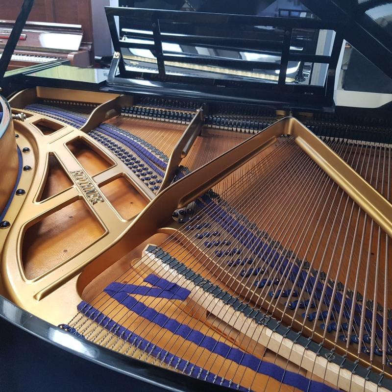 Bluthner style IVa grand Piano in ebonised – Gallery image – Roberts Pianos Oxford