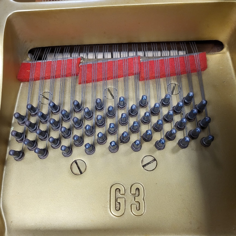 Yamaha G3E