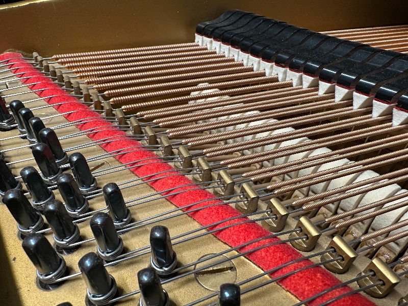 Steinway model O