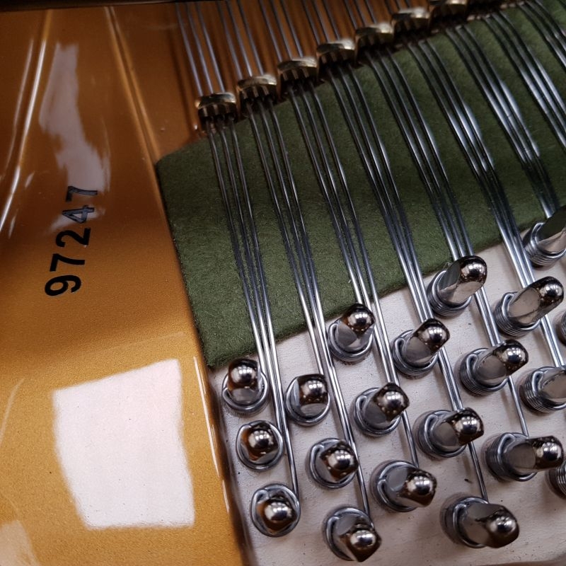 Bechstein B