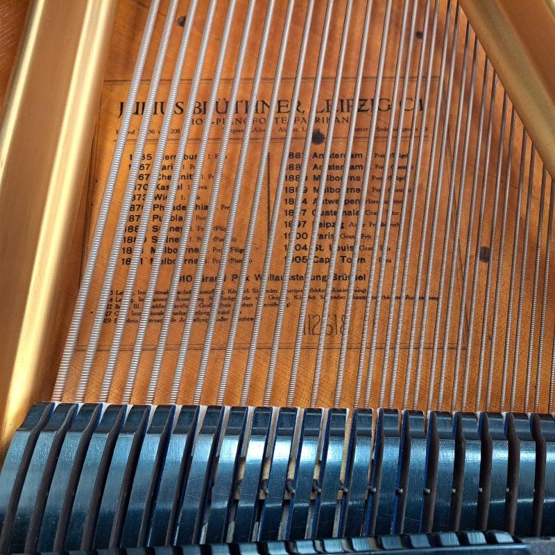 Bluthner style IVa grand Piano in ebonised – Gallery image – Roberts Pianos Oxford
