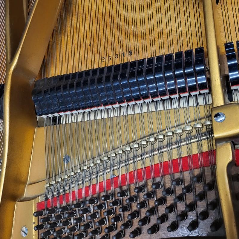 Bosendorfer 170 grand Piano in mahogany – Gallery image – Roberts Pianos Oxford