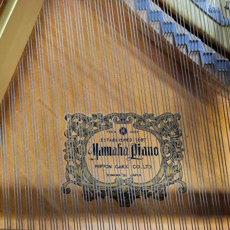 Yamaha G3E grand Piano in Black Polyester – Gallery image – Roberts Pianos Oxford