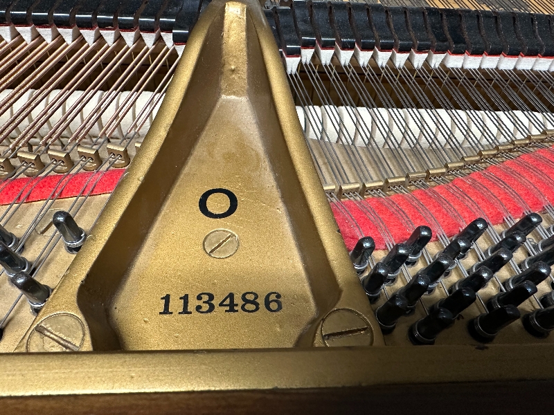 Steinway model O