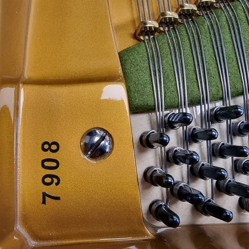 Bechstein III