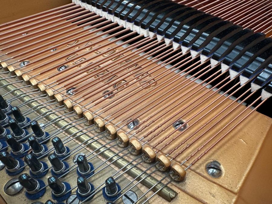 Bluthner VIII grand Piano in rosewood – Gallery image – Roberts Pianos Oxford