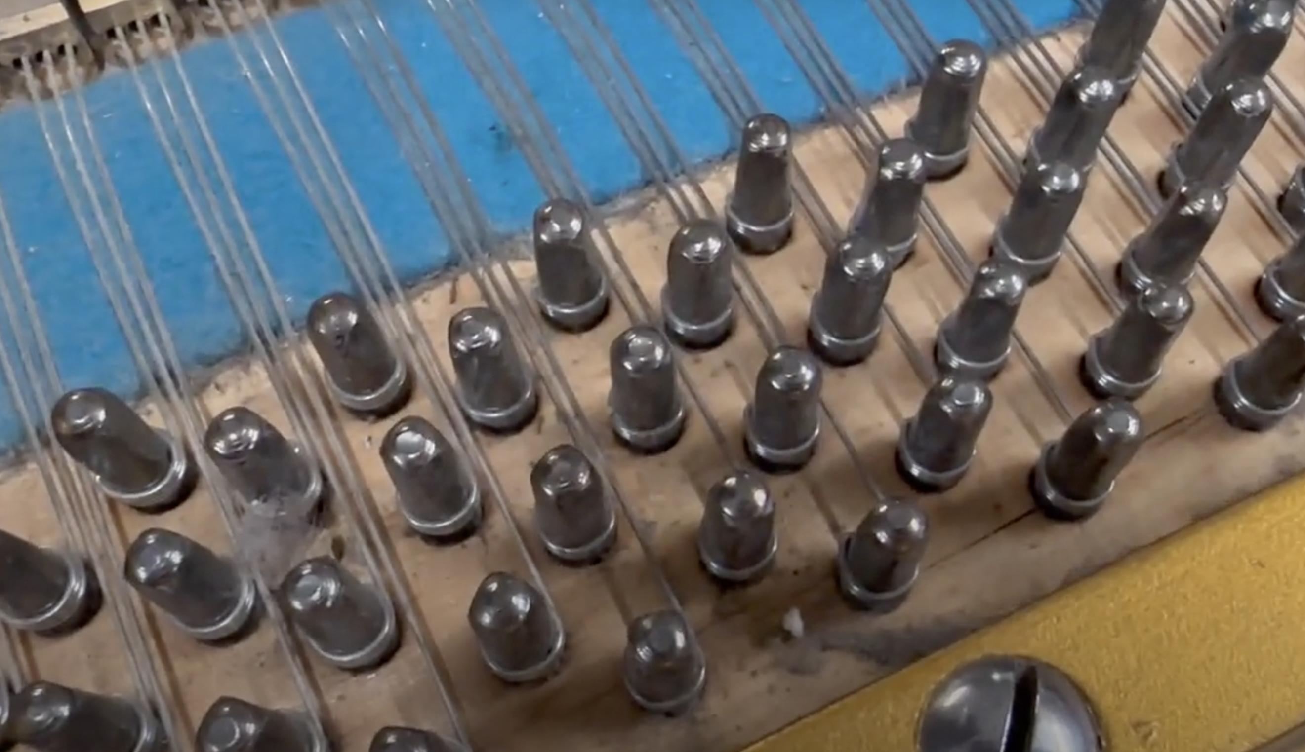 Bechstein V