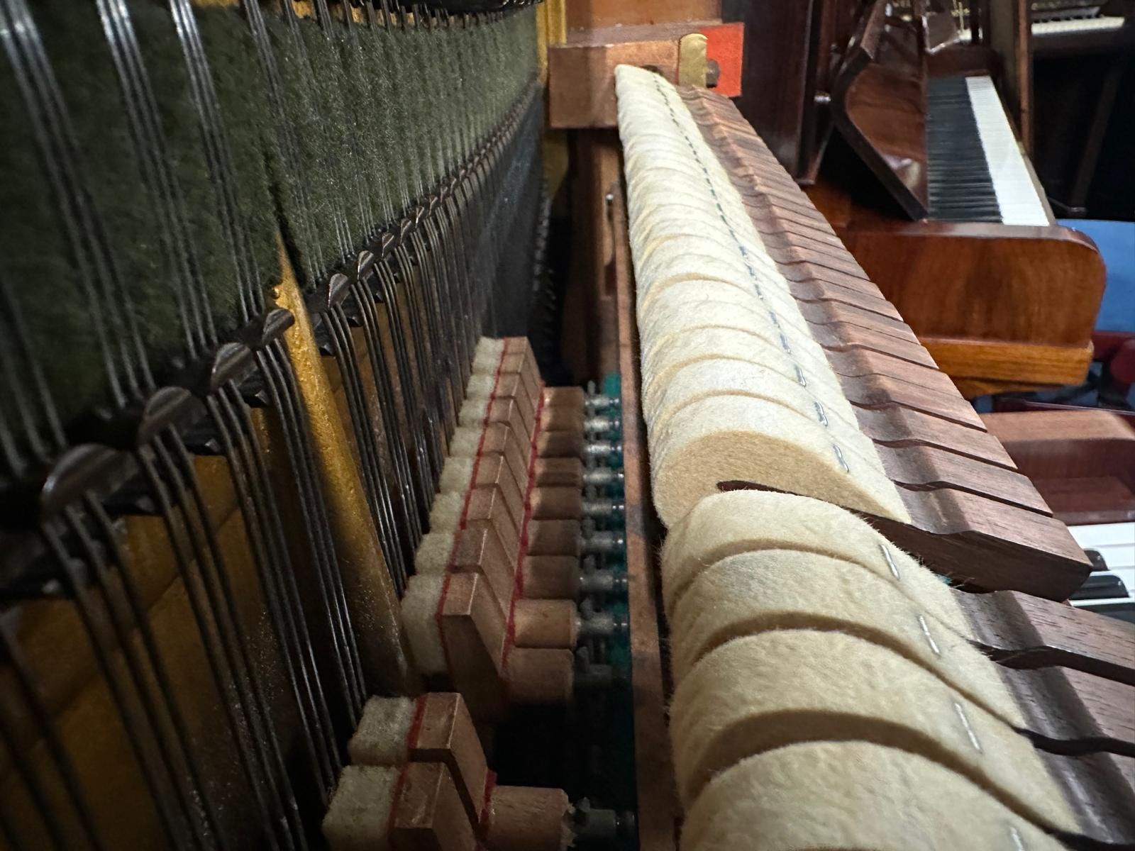 Bechstein 8