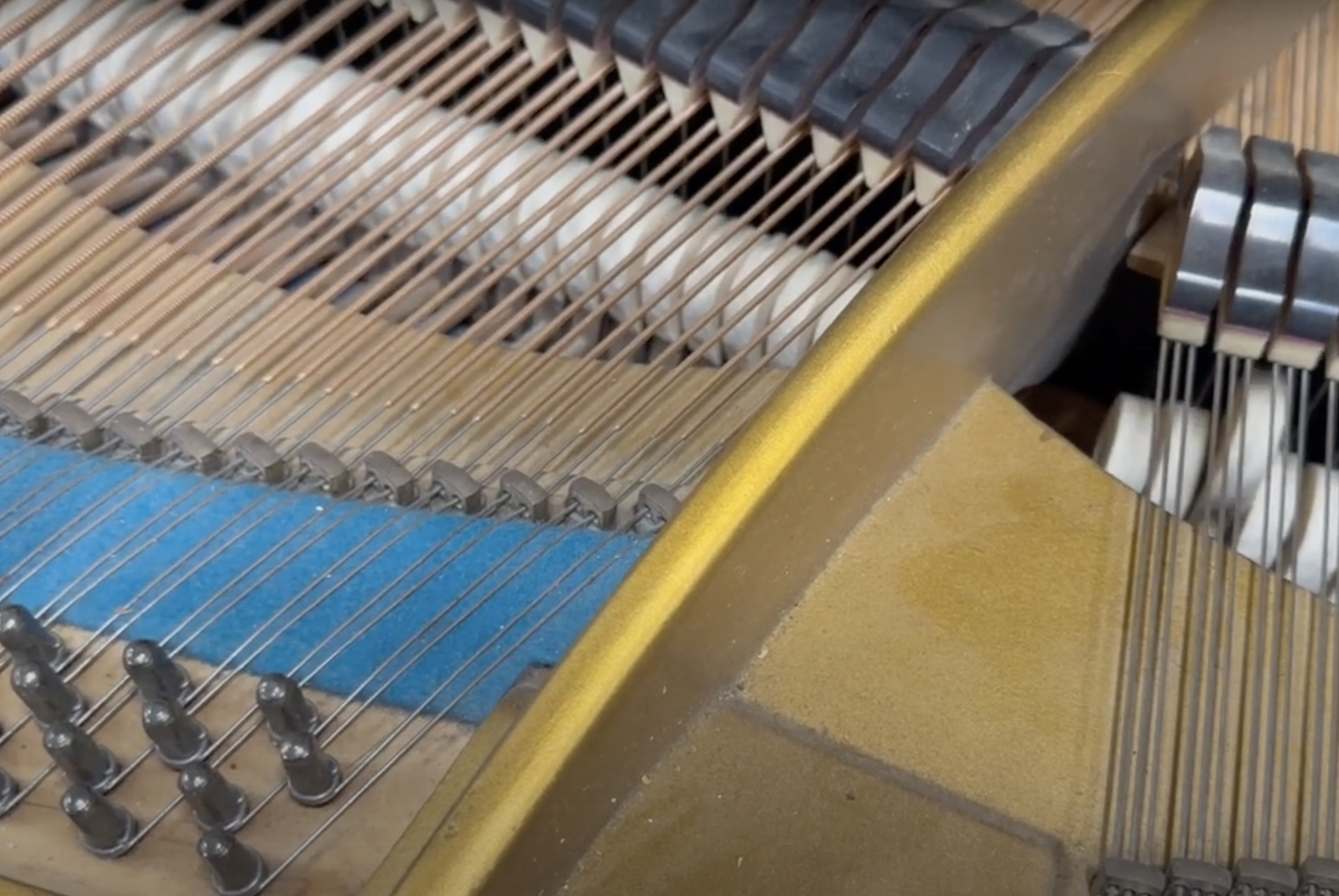 Bechstein V