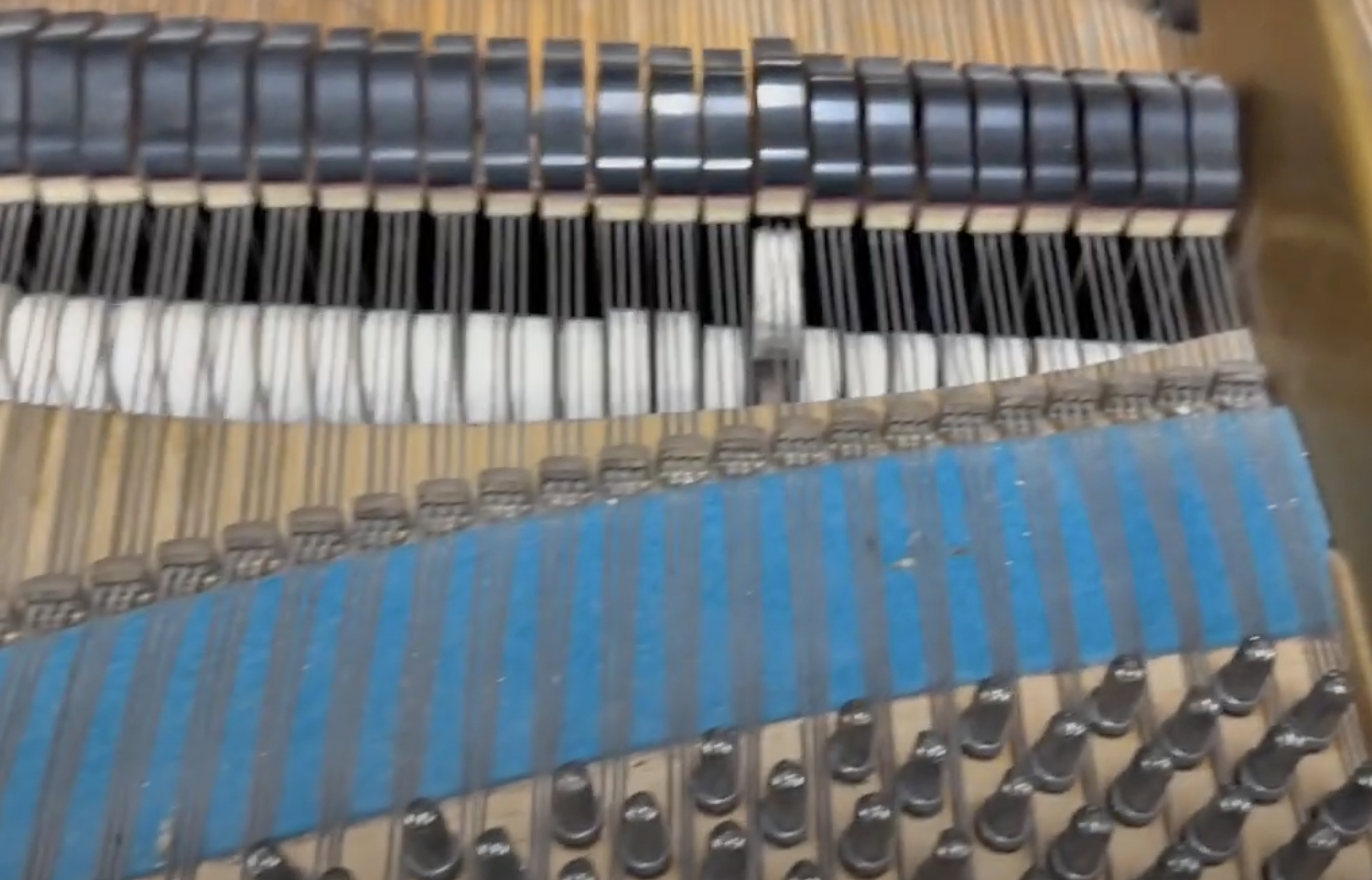 Bechstein V