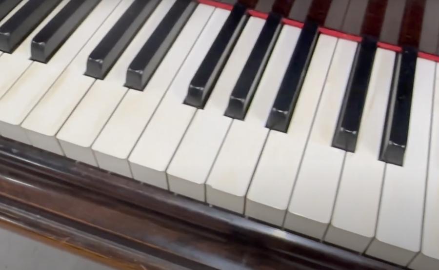 Bechstein V grand Piano in rosewood – Gallery image – Roberts Pianos Oxford