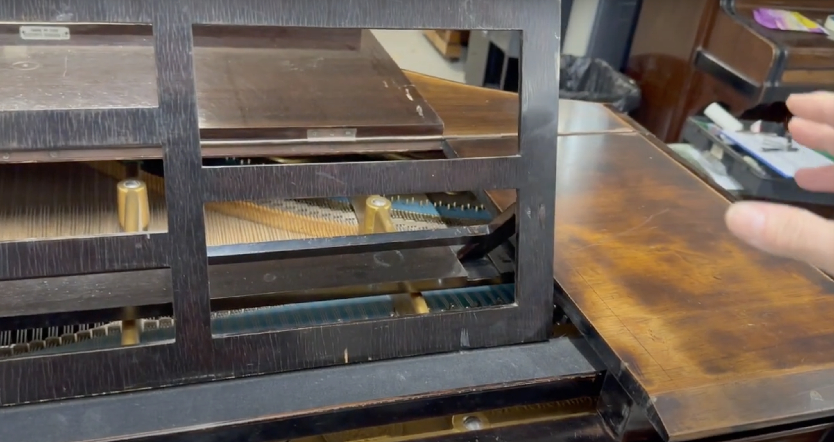 Bechstein V