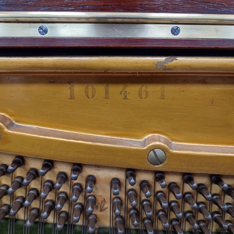 Bechstein 7