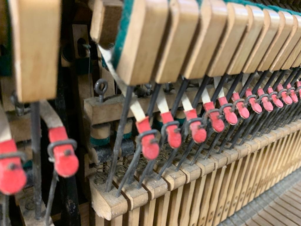 Bechstein 8