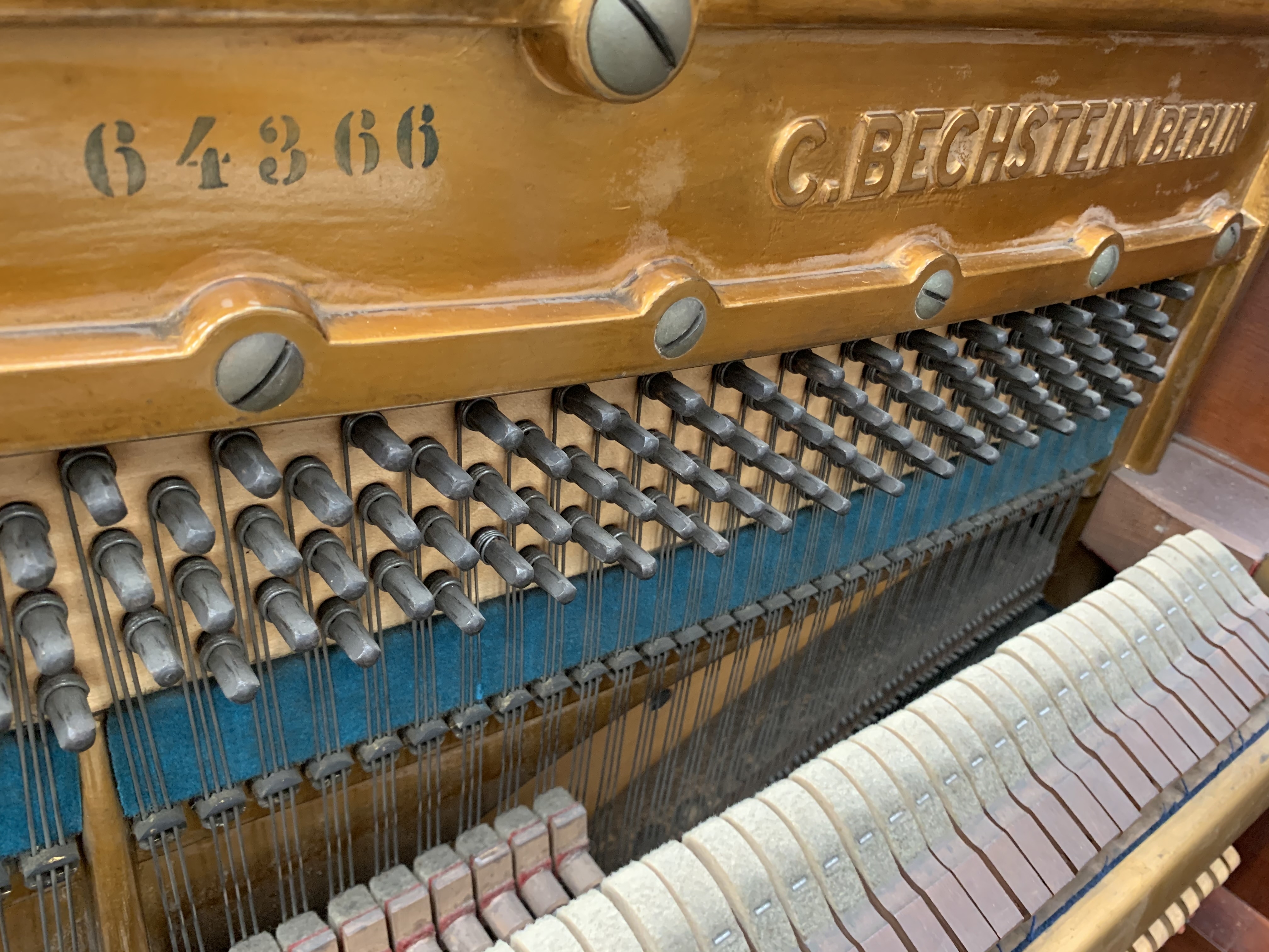 Bechstein 8