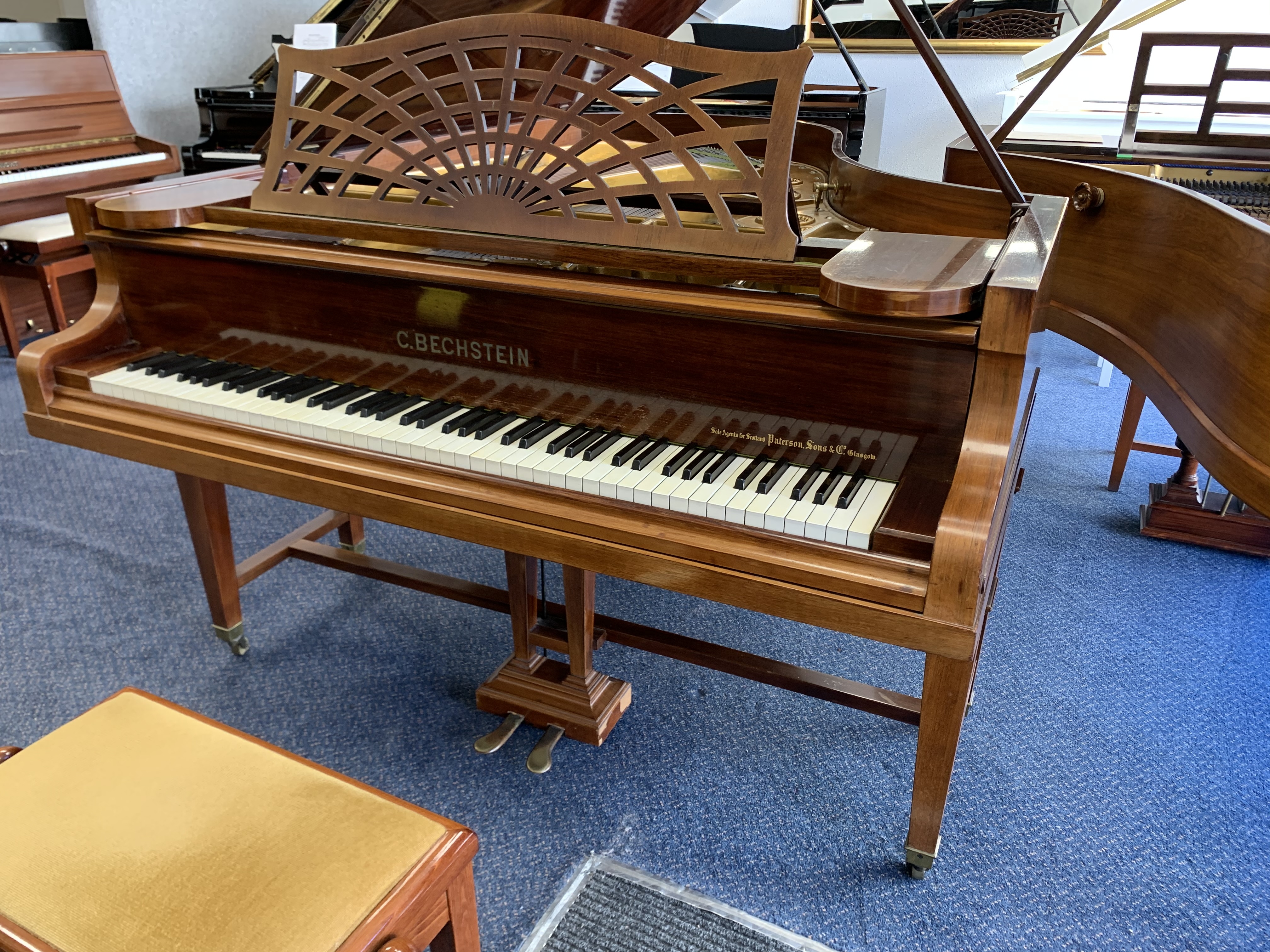 Bechstein B
