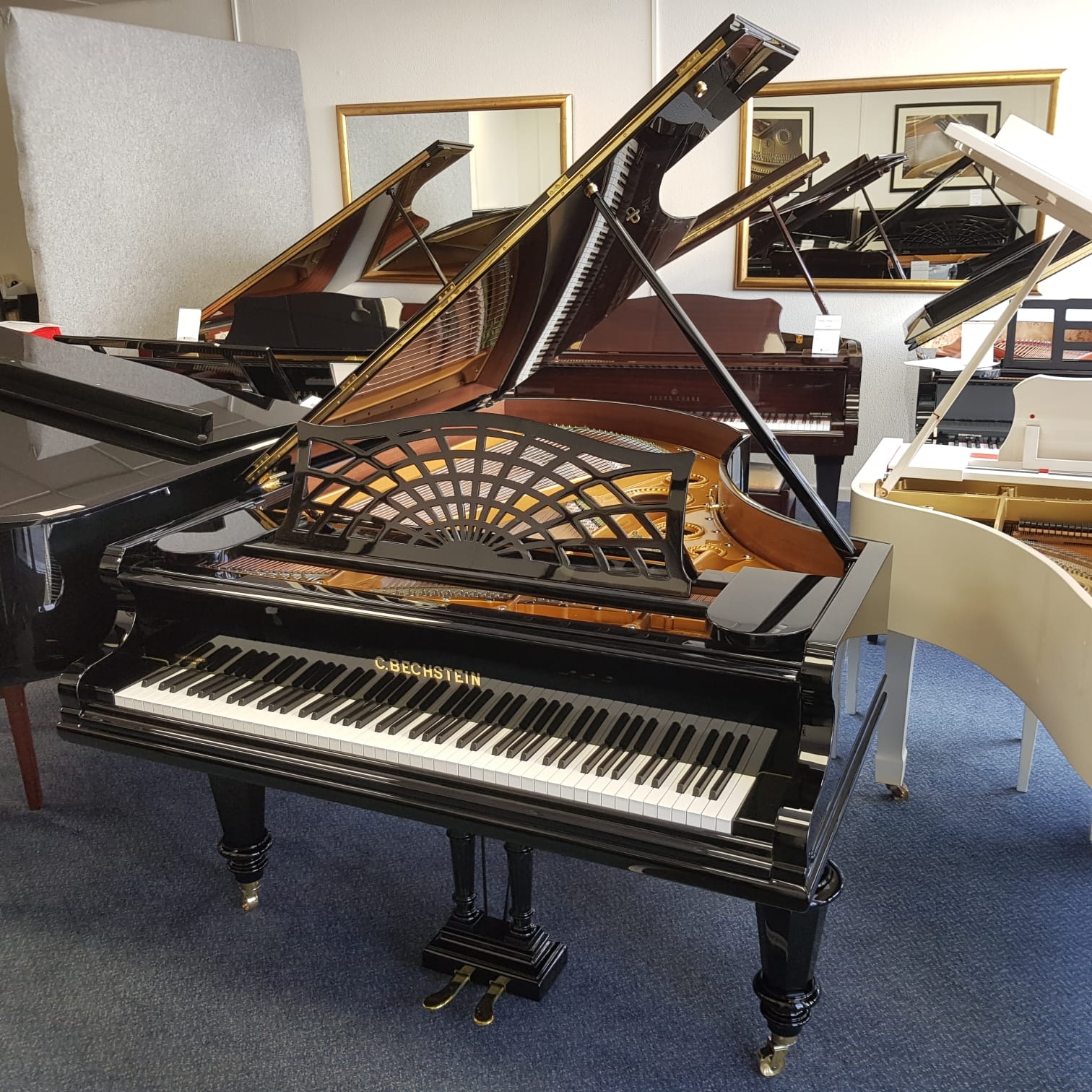 Bechstein Model V