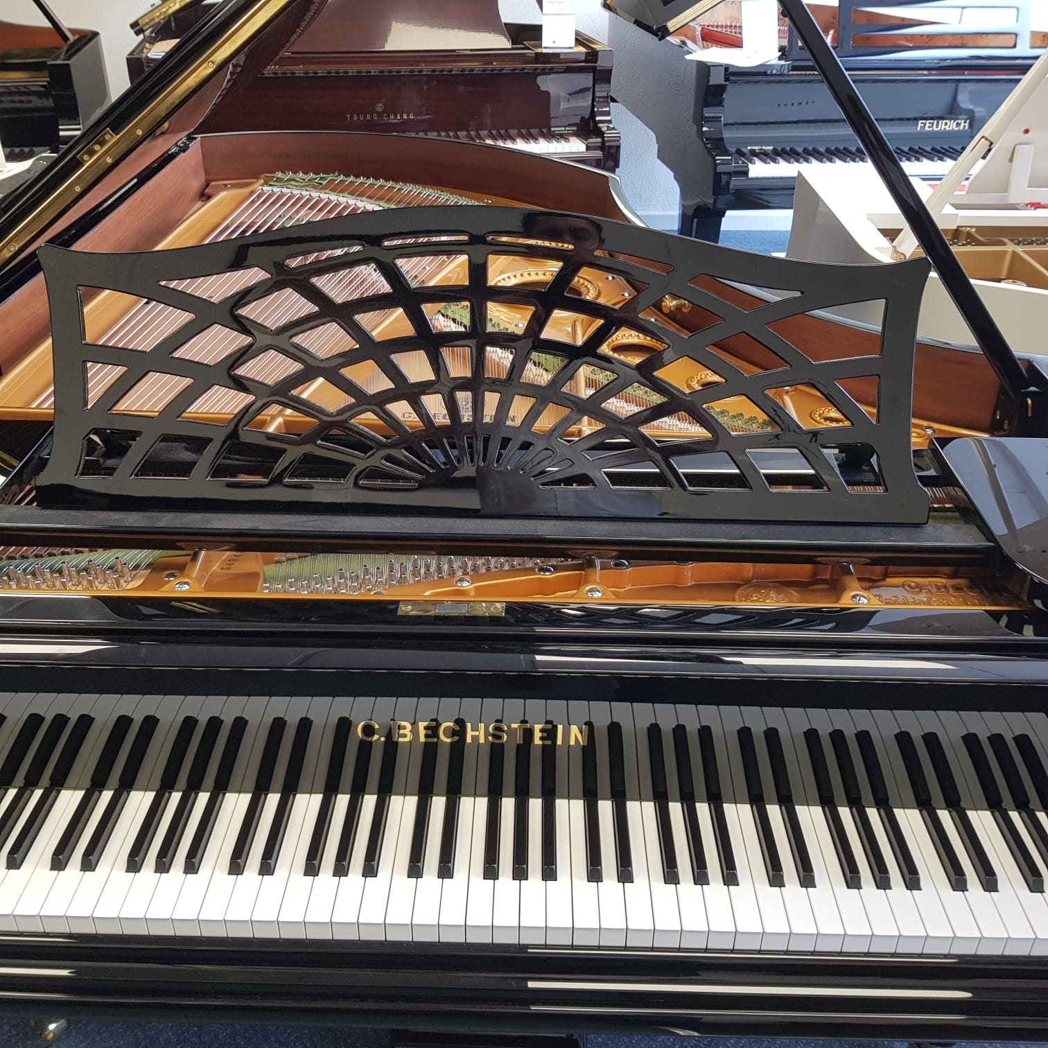 Bechstein model V
