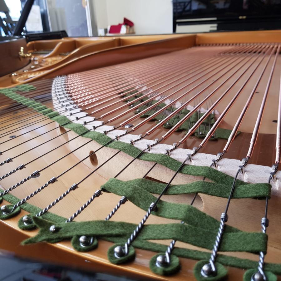 Bechstein Model V grand Piano in Bright black – Gallery image – Roberts Pianos Oxford