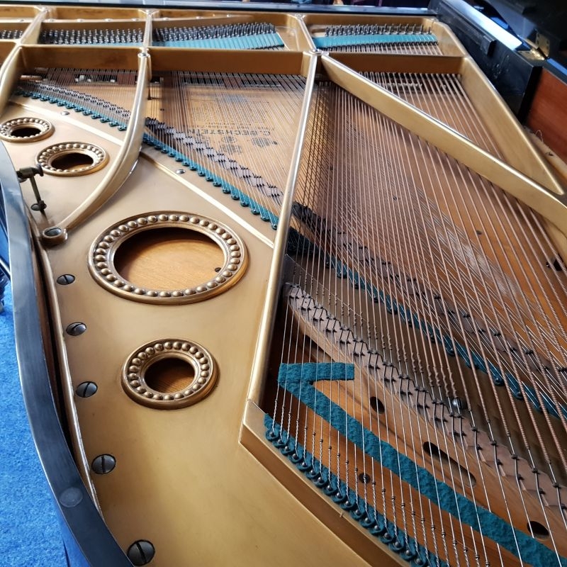 Bechstein B