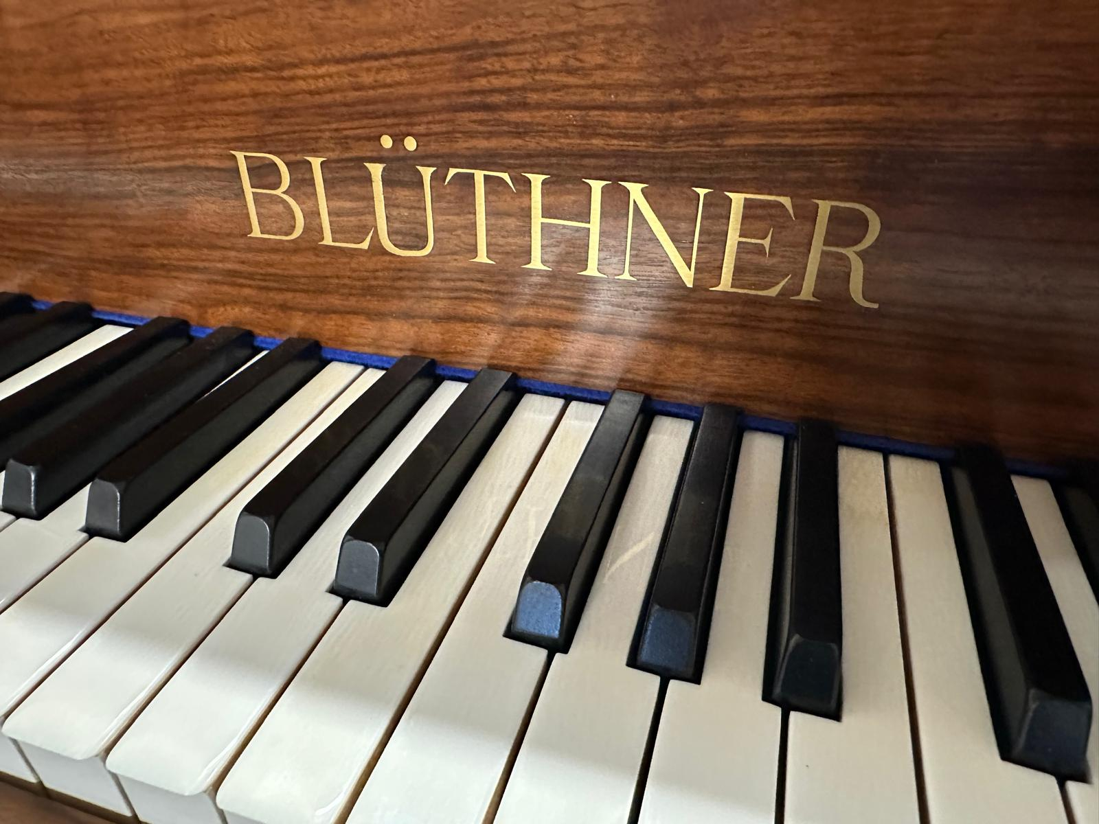 Piano detail