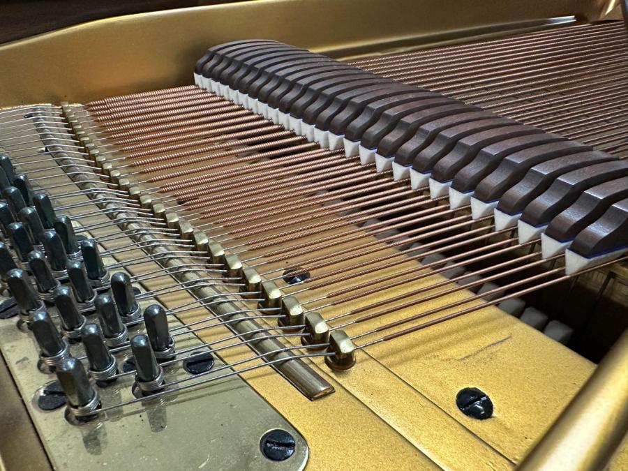 Bluthner Style IV grand Piano in Walnut – Gallery image – Roberts Pianos Oxford