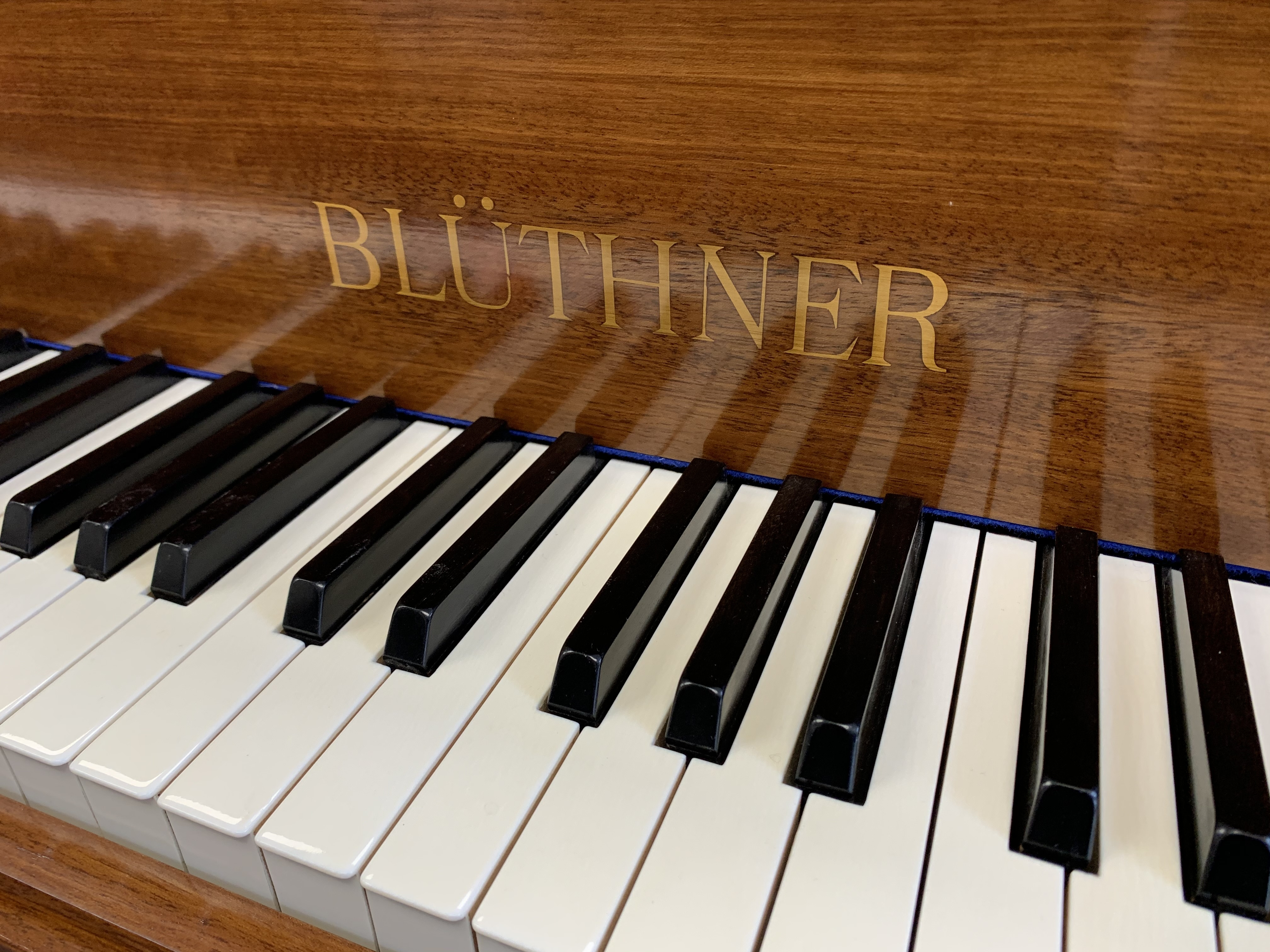 Bluthner style IV