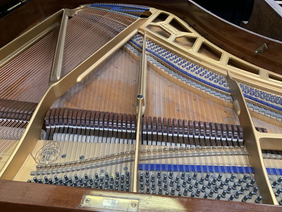 Bluthner Style IVa grand Piano in flamed mahogany – Gallery image – Roberts Pianos Oxford