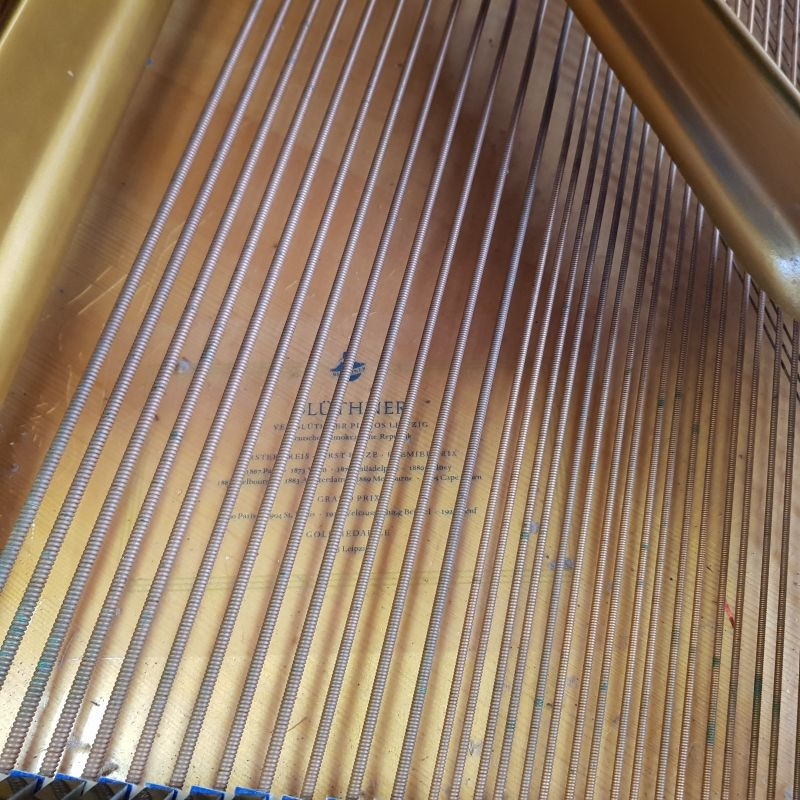 Bluthner 166 model 10 grand Piano in mahogany – Gallery image – Roberts Pianos Oxford