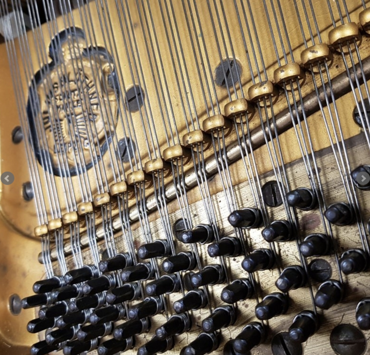 Bluthner VII grand Piano in rosewood – Gallery image – Roberts Pianos Oxford