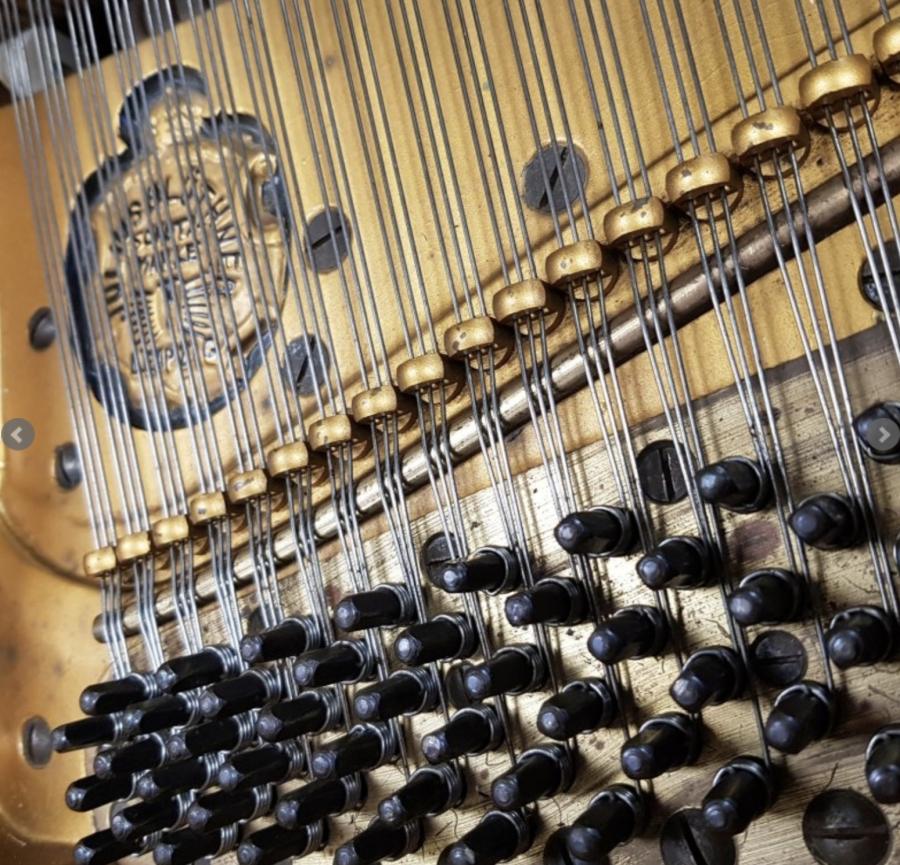Bluthner VII grand Piano in rosewood – Gallery image – Roberts Pianos Oxford