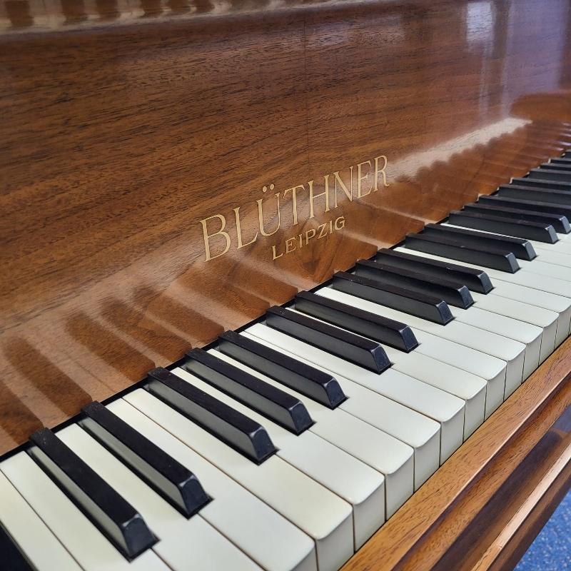 Bluthner style IVa grand Piano in walnut – Gallery image – Roberts Pianos Oxford